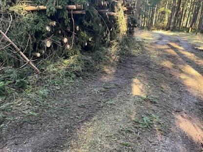 Bild 3:Hackschnitzel ab Haufen