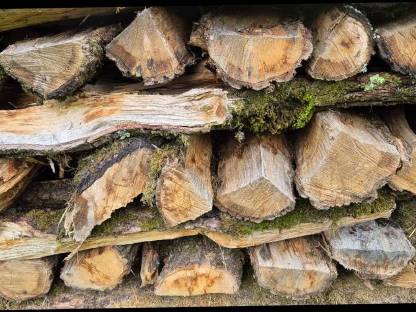 Bild 2:Brennholz/Hartholz