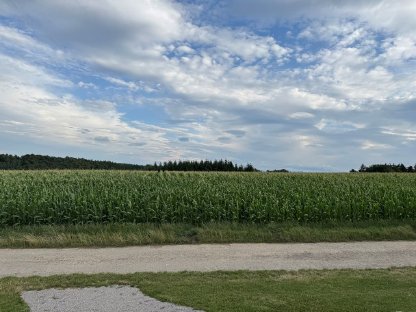 Bild 2:Acker inkl. Wald in Katastralgemeinde Großgraben