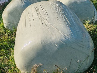 Silageballen 1. Schnitt