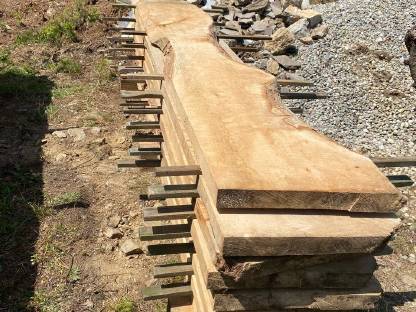 Bild 3:Bergahorn Pfosten