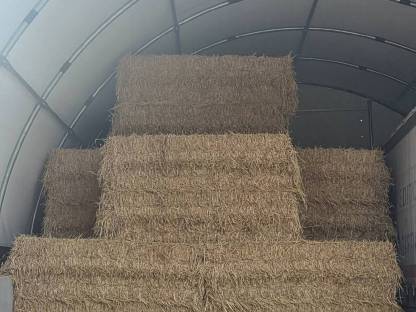 Roggen und Triticale Stroh
