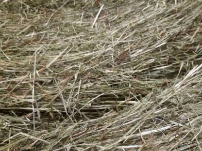 Bild 2:Heu Rundballen, Warmluft getrocknet