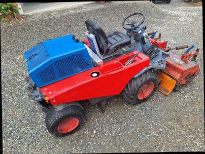 Bild 3:Rasant Buggy Allrad