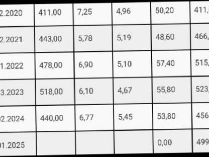 Bild 3:Widder Ostfriesisches Milchschaf