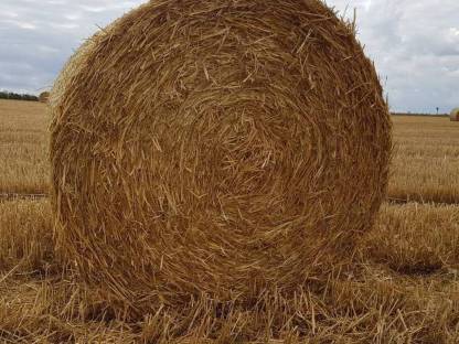 Bild 3:Stroh-Rundballen