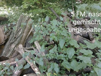 Bild 4:Verkaufe Brennholz