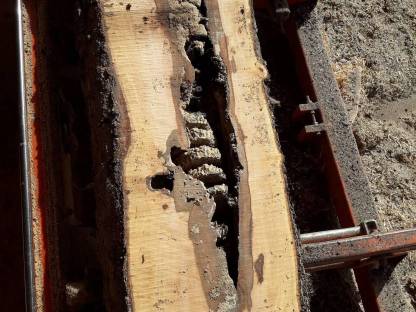 Bild 5:Tischlerholz, Bauholz