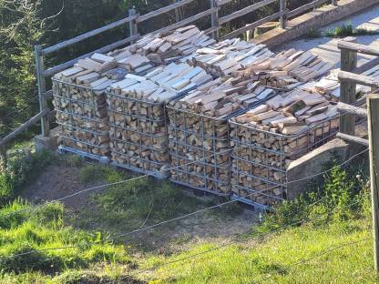 Bild 3:Brennholz zu verkaufen