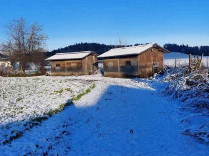 Bild 3:Hühnerhütten