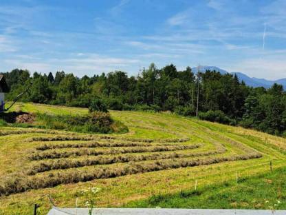 Bild 4:Silageballen günstig