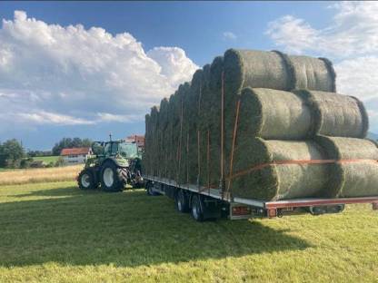 Bild 5:Heu und Stroh