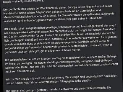 Bild 9:Beagle Welpen