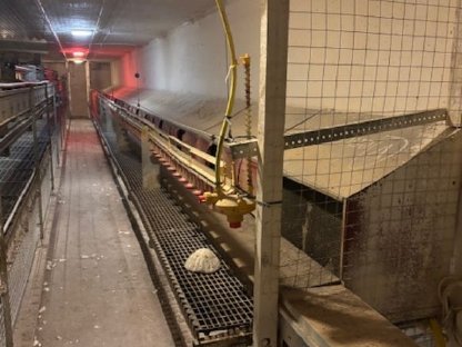 Bild 2:Hühnerstall Voliere