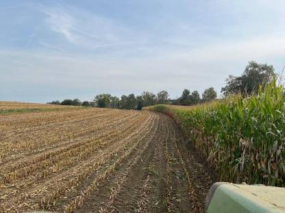 Bild 5:Kemper Champion 3000 Feldhäcksler Anbauhäcksler C3000