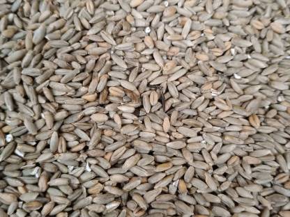 Bio Roggen-Weizen-Gemenge