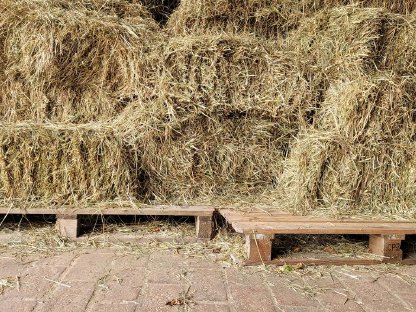 Bild 2:Heu vom 1. Schnitt 2024 (HD-Bunde)