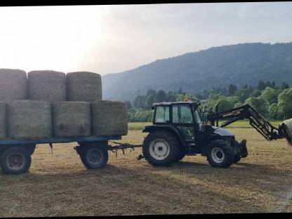 Bild 3:Heuballen und Grummetballen aus Naturschutzflächen