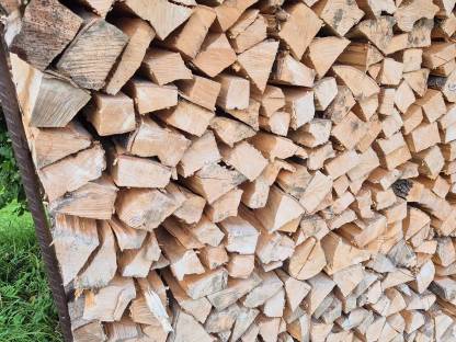 Bild 2:Brennholz