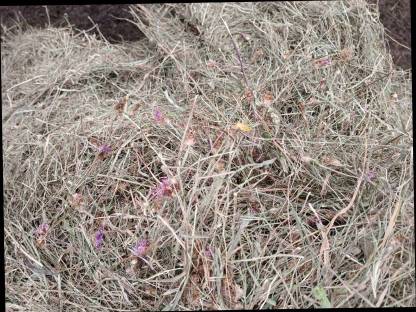 Bild 4:Große Heuballen