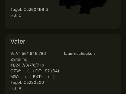 Bild 2:Tauernschecken Kitzbock