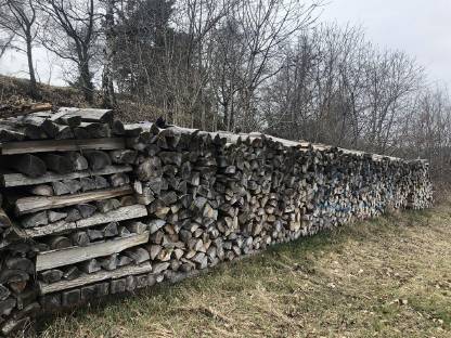 Brennholz hart/weich Esche, Kiefer 50/50