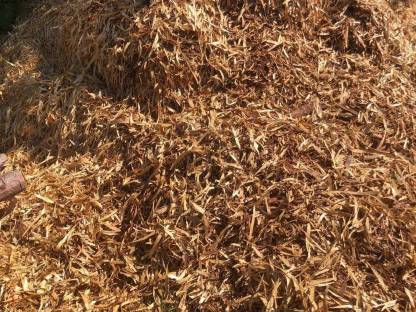 Bild 3:Rindenmulch