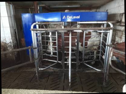 Melkroboter DeLaval