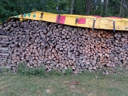 Bild 4:Brennholz