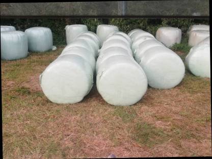 Maisballen