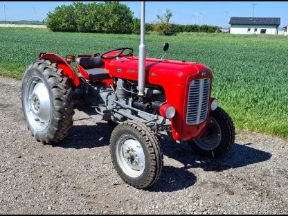 Bild 3:Oldtimer Traktoren