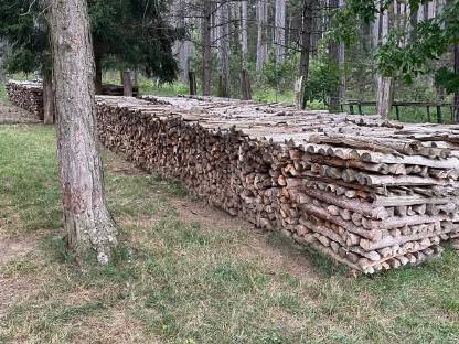 Bild 2:Kiefer Brennholz