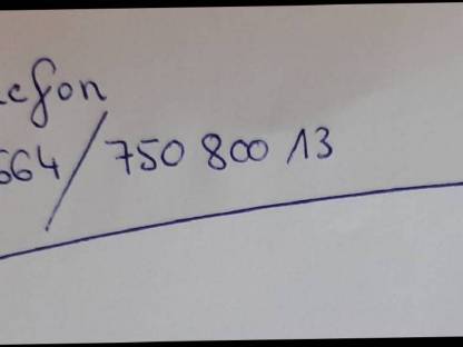 Bild 6:600/65-R38 Netzkette, Schneeketten, Forstketten