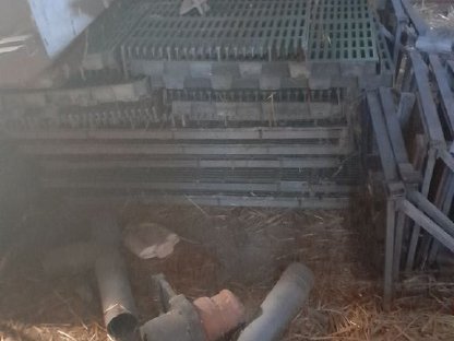 Bild 4:Aufstallung für Ferkel