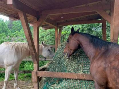 Bild 8:Heu Grummet Rundballen 1. und 2. Schnitt
