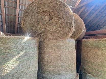 Bild 2:Heuballen zu verkaufen – 150 cm Dm.