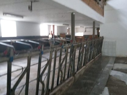 Aufstallung inkl. Fressgitter
