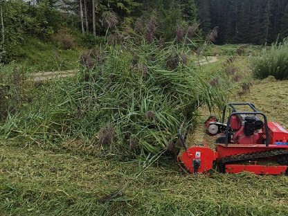Mulcharbeiten Mulchraupe Mulcher
