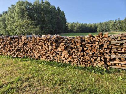 Brennholz Buche