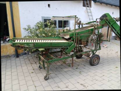 Kartoffelsortieranlage