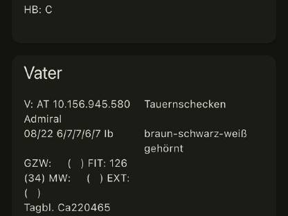 Bild 5:Tauernscheck Kitz weiblich