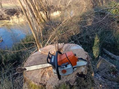 Bild 4:Spezialbaumfällung/Holzfällung