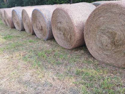 Bild 2:Heu und Stroh