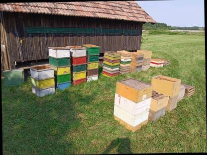 Verkaufe Bienenstöcke Bienenstock