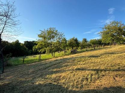 Bild 2:Weidefläche in Wolfau