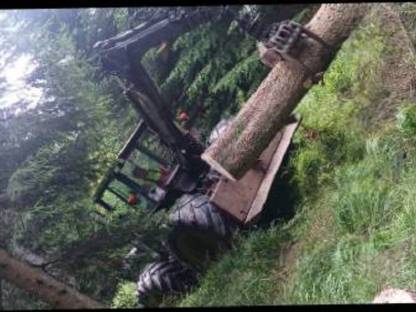 Bild 2:Forstarbeiten, Holzeinschlag, Käferholz, Sturmholz