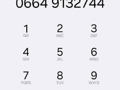 Bild 8:Massey Ferguson 4225