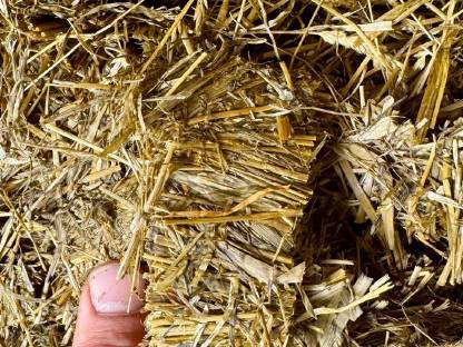 Bild 2:Siloballen 32 Messer Pöttinger Impress