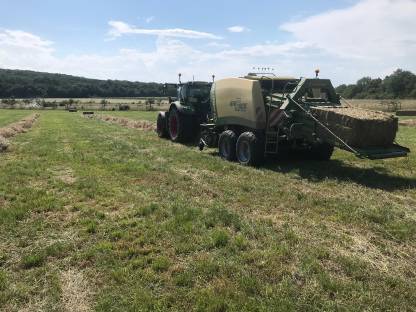 Bild 4:Heuballen Quaderballen