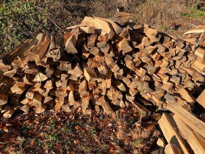 Bild 3:Brennholz, Ofenholz